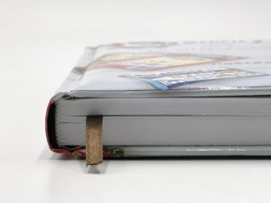IMG_4906